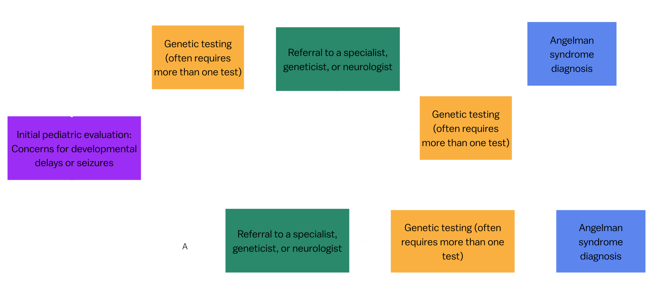 Flow chart of initial evaluation to genetic testing, referrals and to a diagnosis of Angelman syndrome.